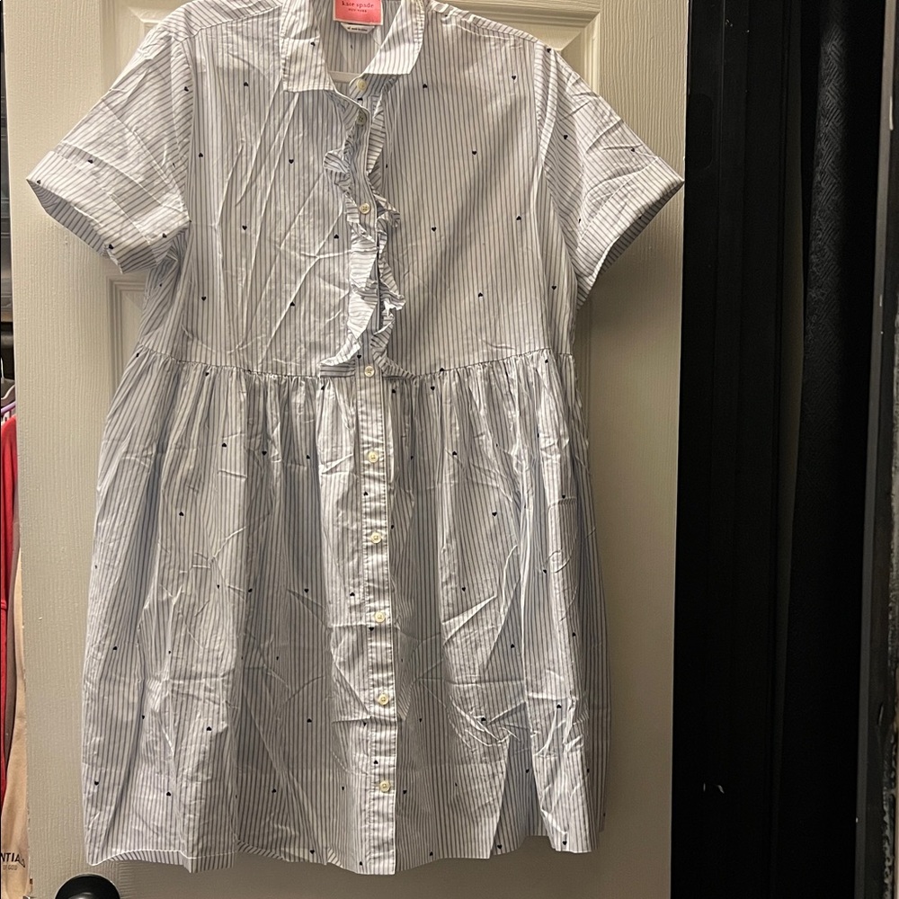 Kate Spade Blue and White Striped Women’s Dress
